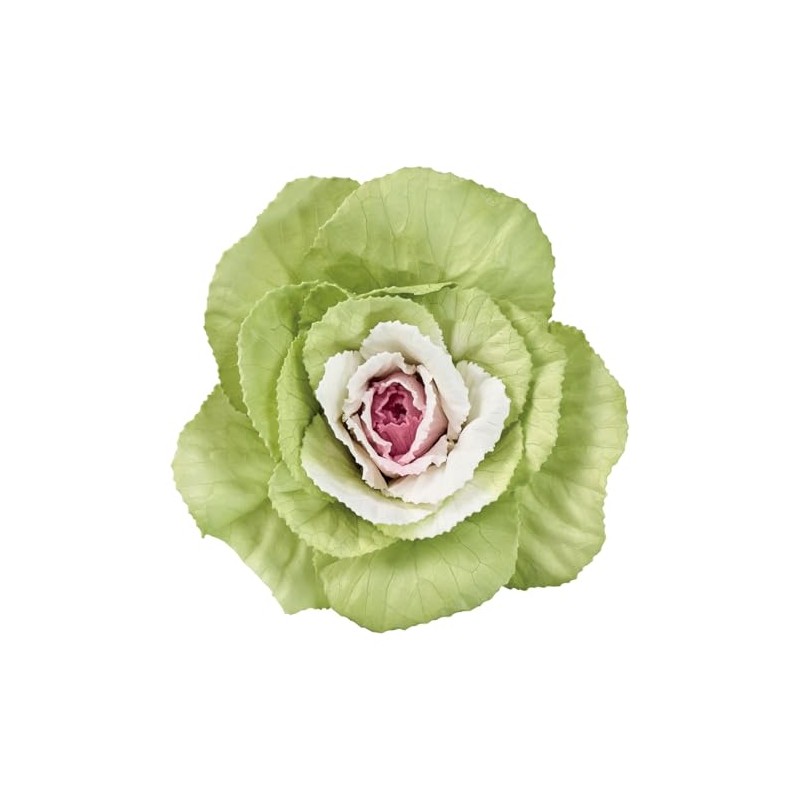 大地農園 プリザーブドフラワー 葉牡丹 約花径6～8cm 3輪入 DO005580-170