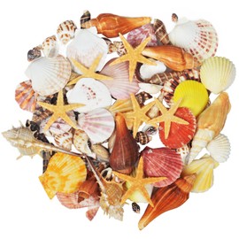 Seashells 13 Kinds of Shells 100 PCS Mixed Ocean Beach Colorful Seashells with Starfish Perfect for Home Decoration, Art Craft, Fish Tank and Vase Filler
