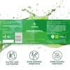 Vitabay Chlorophyll Drops 50 mg - Vegan & Laboratory Tested