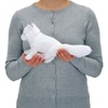 Carolata Arctic Fox Plush Toy (Sitting Series/Gentle Texture), Realistic Fox,