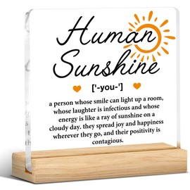 Human Sunshine Motivational Gifts for Women Men, Thank You Appreciation Gifts for Teacher Friends Coworkers Doctor Nurse Leader Coach Mentor Acrylic Desk Sign Decor Home Office Decor, 4 x 4 Inches