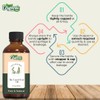 Organic Zing Bay Laurel Leaf (Laurus Nobilis) Oil | Pure