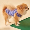 FURTiZEN Stripe Ruffle Tank for Dogs - Striped Dog Tank