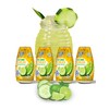 Klass Aguas Frescas | Liquid Water Enhancer | Sugar Free