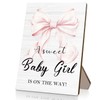 HYKDFMNCJ Baby Shower Wooden Signs, Girl Welcome Sign Stand 5x7