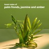 TREE HUT, Shea Sugar Scrub Palm Grove, Exfoliante Corporal con