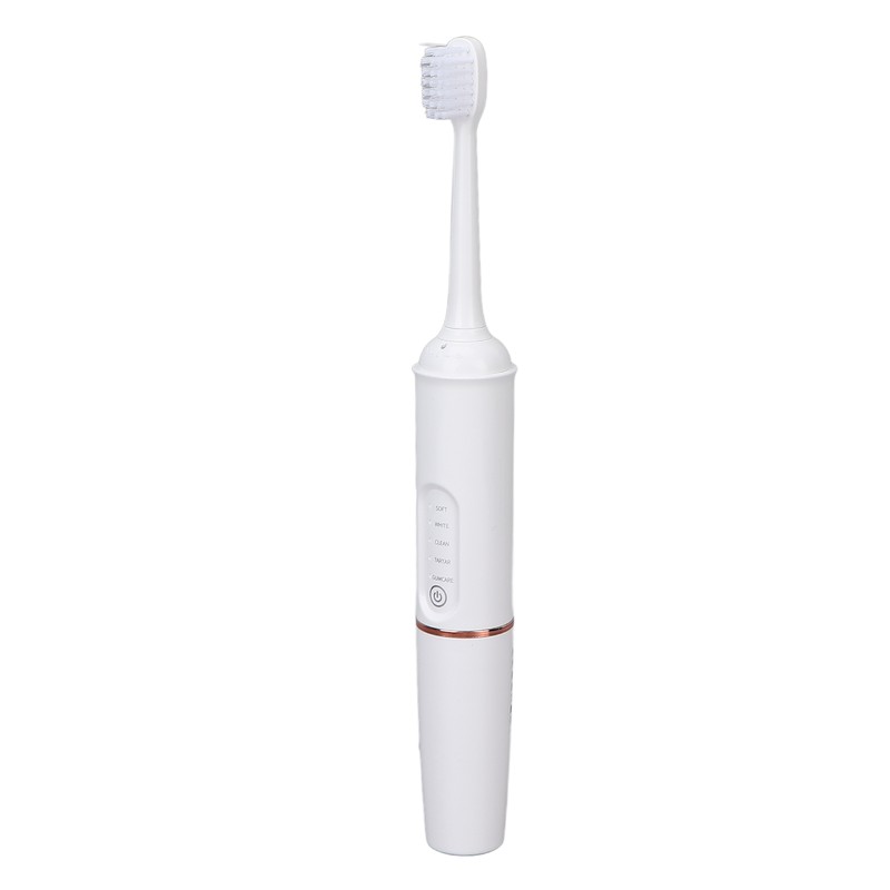 Plaque Remover IPX7 Waterproof Multifunction Electric Teeth Cleaning Kit for