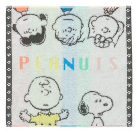Nishikawa PN4608TW Snoopy Wash Towel, 13.4 x 13.8 inches (34 x 35 cm), Washable, 100% Cotton, No Twist Yarn, Made in Hollow, Lightweight, Moisture Absorbent, Fluffy, Colorful, Rainbow XT34706601 Made