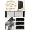 Solf [Supervised by Pitina Branch Manager] Writable Musical Music File,