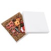Mefleet 12x12x2 Inches Large Gift Boxes with Lids 10 Pack
