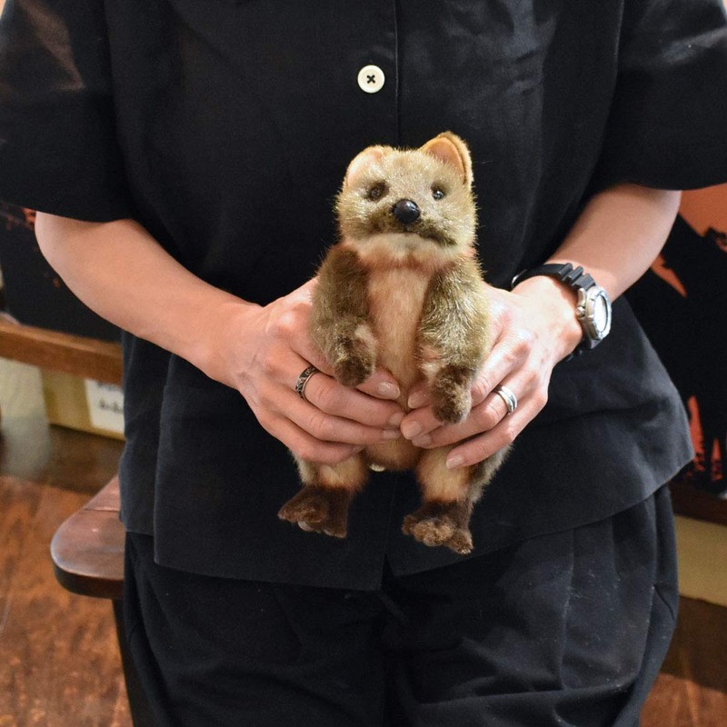 BH7362 HANSA クアッカワラビー ２２