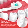 40 Piezas Mini Cepillos de Dientes Desechables con Pasta, Kit