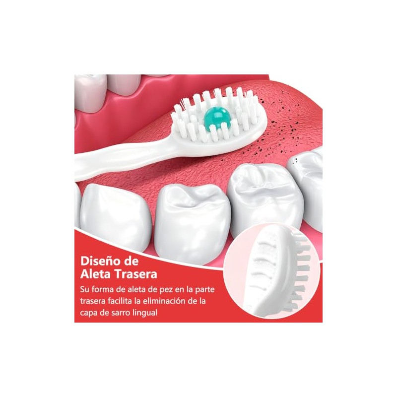 40 Piezas Mini Cepillos de Dientes Desechables con Pasta, Kit
