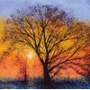 Museums & Galleries Classics Artistic Blank Male/Female Greeting Card - The Big Tree at Sunset by Marc Todd