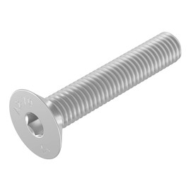 Vite a testa svasata SECCARO M10 x 55 mm, acciaio inox V2A VA A2, DIN 7991 / ISO 10642, esagono incassato, 20 pezzi