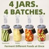 Fermentation Jar, 4-Pack 32 oz Mason Jars with Airlocks