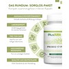 PlusVive Probio 17 Plus Capsules High Dose I 1 x