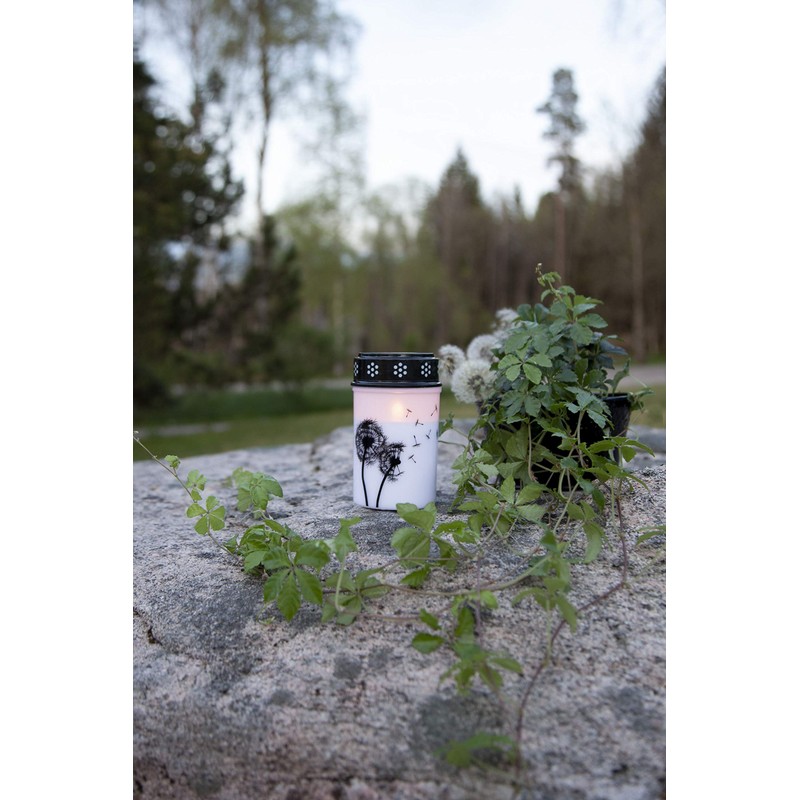Star Dandelion LED Grave Light White / Black