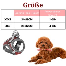 Auliuse Dog Vest Harness, Dog Harness and Llead Set, Reflective Harnesses for Small Dogs, Vest Harness for Cats/Dogs, Adjustable, Breathable