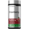Horbäach Pastillas de arándano + vitamina C | 15.000 mg