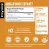 StayAlive Pure Ginger Root Extract Capsules - 10:1 Super Extract,