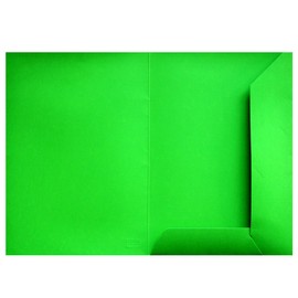 Original BIGO Presentation Folder DIN A4 in Pistachio Green Pack of 10 Versatile Use for Your Offers, Exposes, Projects or Business Reports Document Folders Cardboard Folders Sturdy File Folders