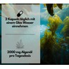 EXVital Omega 3 from Algae Oil, Vegan, 120 Softgel Capsules,
