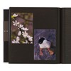 Delfonics PD Photo Album with Edelvis Frame Dark Brown