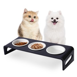 Tilted Raised Elevated Food and Water Bowls Stand for Cat or Small Dogs - Puppy's Clear Acrylic Stainless Steel 3 Dishes Holder for Boy or Girl Pet by WBhonghui (Black-3bowls)