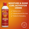 Creme of Nature with Argan Moisture & Shine Curl Activator