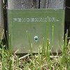 Fence Post Galvanized Steel Post Protectors- Fence Post Protection from