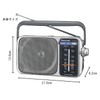 Panasonic RF-2450-S FM/AM/Wide FM Radio, Silver