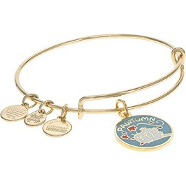 Alex and Ani Pawtumn Bracelet, One Size, Brass, no gemstone