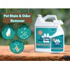 NOYATECH Pet Stain and Odor Remover - Enzyme Carpet Cleaner