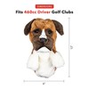 DAPHNES Boxer Headcover