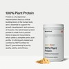 Momentous Momentous Vegan Protein Powder - 20g Plant Based Protein