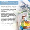 BEE and YOU Propolis Pure Liquid Extract – 300 mg