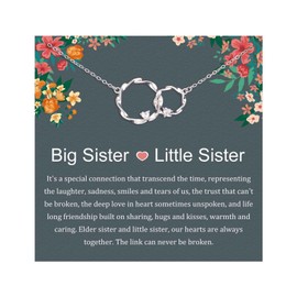 AnalysisyLove Sister Gifts, Sterling Silver Interlocking 2 Circles Necklace Gifts for Sisters, Big Sister Little Sister Gift, Sister Birthday Gifts from Sister