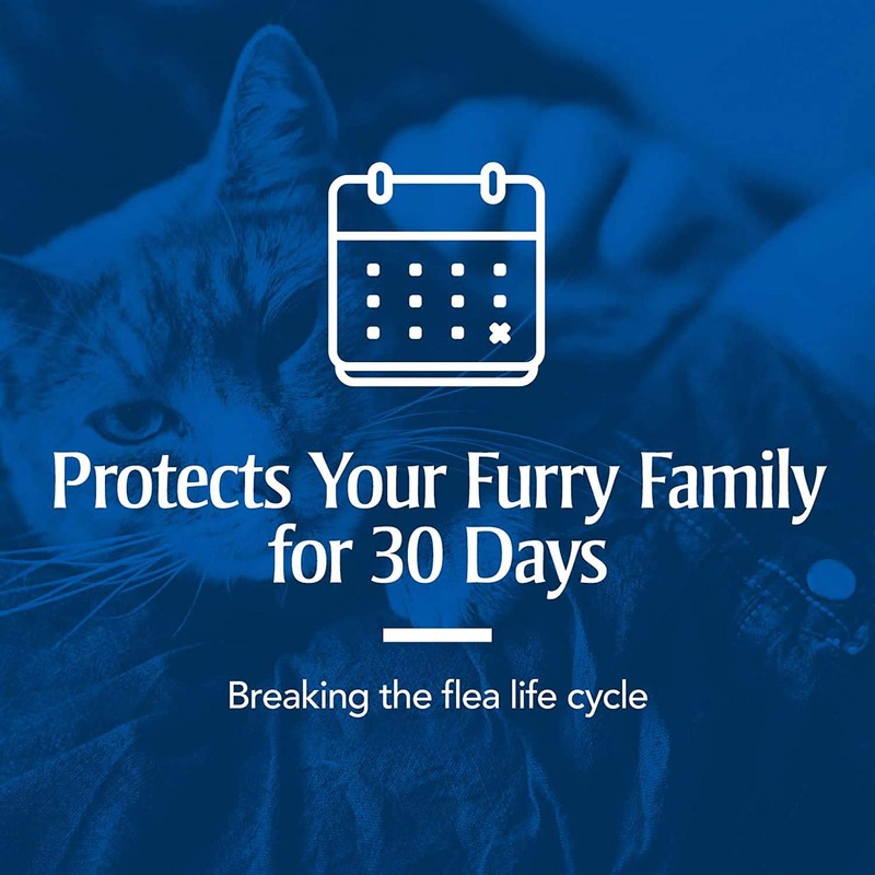 PetArmor Plus Flea & Tick Prevention for Cats with Fipronil