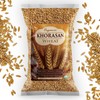 Khorasan Wheat Berries - 100% Certified Organic Khorasan Whole Wheat