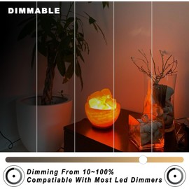 Diodesy- E11 LED Bulb Dimmable T6 Pack of 4 6.5W (70W Equivalent) 3000K Soft White 700 Lumens Mini Clear Light for Chandeliers Ceiling Fan Table Cabinet Lighting Enclosed Fixture Rated UL Listed