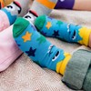 Cucamelon Unisex Baby Snuggle Bugs Sock Gift, Multi, One Size,