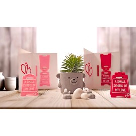 Valentines Day Gifts for Him and Her - Romantic Love Language Sign to Say A Small Symbol of My Love - Cute Birthday, Christmas, Wedding Gift for Girlfriend, Girlfriend, Wife, Fiancee (Baby Pink)