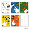 Nakabayashi 5 books BOX Pocket Album Miffy 23872