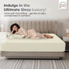 Rohi Single Fitted Sheet 100% Microfibre – 16'' (40cm) Extra