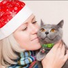 3PCS Christmas Breakaway Cat Collars with Bell Safe and Adjustable