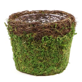 SuperMoss (55152 Vineyard Decorative Moss Basket Ideal for Home Decor, Office Decor, and Indoor Plants, Medium Size: 5.5″ x 4.7″, Fresh Green
