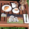 Rural Roots Golden Retrievers Placemat Pack Of 4