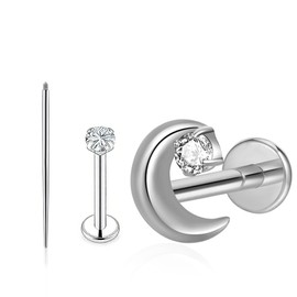 Hypoallergenic G23 Titanium Gold/Silver Earrings for Sensitive Ears Nickel Free for Women&Men Lightweight Waterproof Posts Dainty Mini Multi-Shape Flat Back Stud Earring | Helix Cartilage Jewelry Perfect for New Piercings Gym Swimming & Sleep (Silver moo