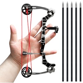 Archery Set Compound Bow Slider Bow Outdoor Recreation Competition Training with 5 Arrows Mini Size 9.5 inches